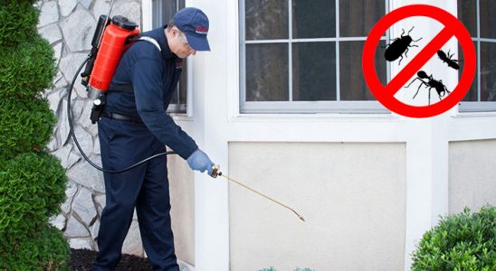 Gümüşova Akrep İlaçlama böcek ilaçlama ve haşere kontrolü — ilaclama-tr.com